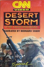 Desert Storm: The War Begins 1991 one on netflix