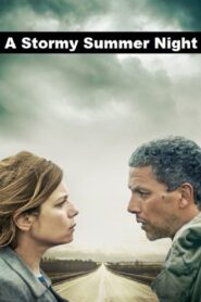 A Stormy Summer Night 2015 one on netflix
