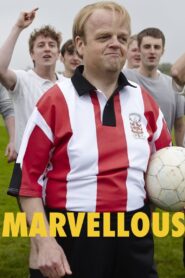 Marvellous 2014 one on netflix
