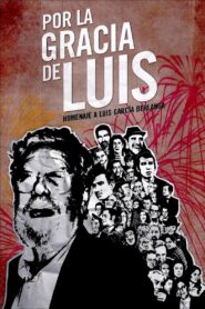 Por la gracia de Luis 2009 one on netflix