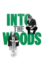 Into the Woods 2011 one on netflix