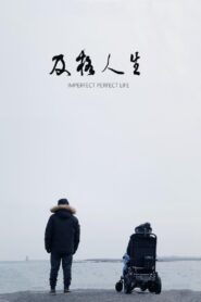 Imperfect Perfect Life 2021 one on netflix