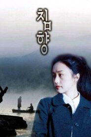 Chimhyang 2000 one on netflix