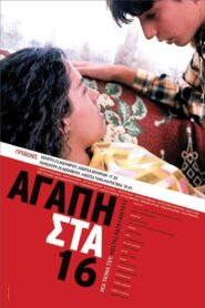 Love at 16 2004 one on netflix