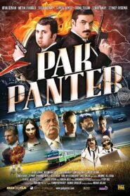 Pak Panter 2010 one on netflix