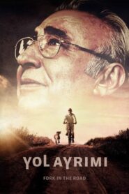Fork in the Road 2017 one on netflix
