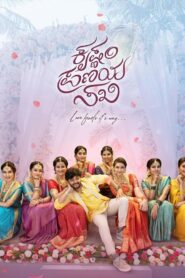 Krishnam Pranaya Sakhi 2024 one on netflix