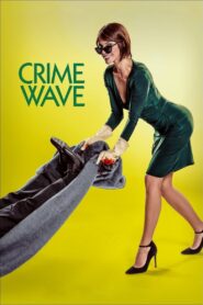 Crime Wave 2018 one on netflix