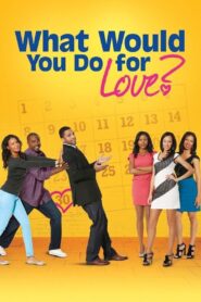 What Would You Do for Love 2013 one on netflix
