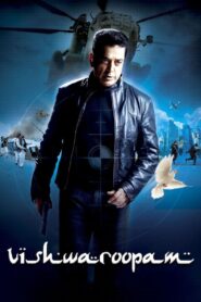 Vishwaroopam 2013 one on netflix