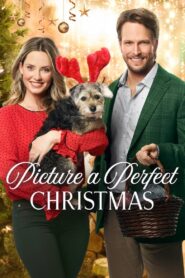 Picture a Perfect Christmas 2019 one on netflix