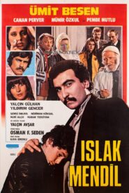 Islak Mendil 1982 one on netflix