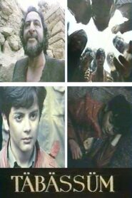 Təbəssüm 1993 one on netflix