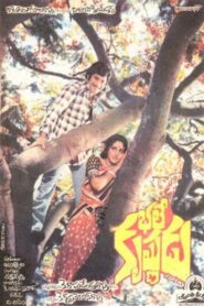 Bhale Krishnudu 1980 one on netflix