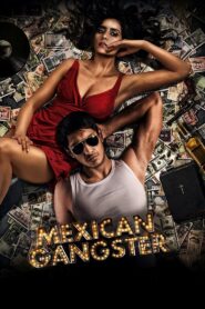 Mexican Gangster 2014 one on netflix