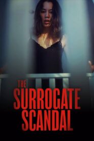 The Surrogate Scandal 2023 one on netflix