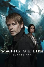 Varg Veum – Black Sheep 2011 one on netflix