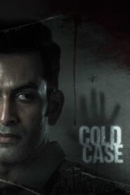Cold Case 2021 one on netflix