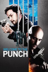 Welcome to the Punch 2013 one on netflix