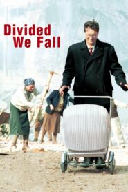 Divided We Fall 2000 one on netflix