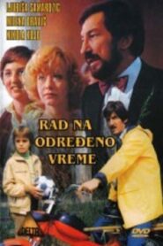 Part-Time Work 1980 one on netflix