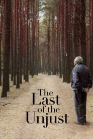 The Last of the Unjust 2013 one on netflix