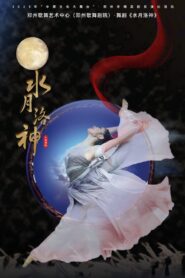 水月洛神 2010 one on netflix