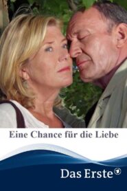 Eine Chance für die Liebe 2006 one on netflix