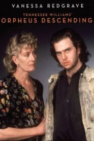 Orpheus Descending 1990 one on netflix