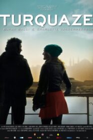 Turquoise 2010 one on netflix