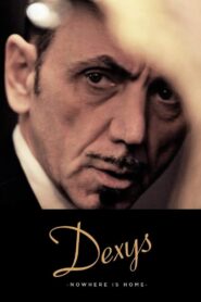 Dexys: Nowhere Is Home 2014 one on netflix