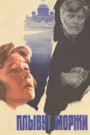 Walruses Are Swimming 1981 one on netflix