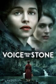 Voice from the Stone 2017 one on netflix