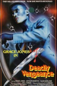 Deadly Vengeance 1981 one on netflix