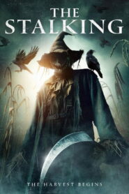 The Stalking 2024 one on netflix