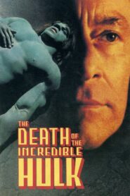 The Death of the Incredible Hulk 1990 one on netflix
