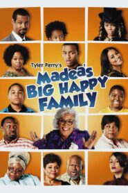 Madea’s Big Happy Family 2011 one on netflix