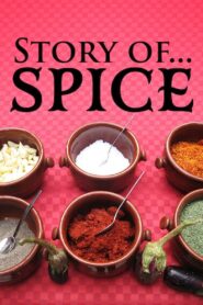 Story of..Spice 2016 one on netflix