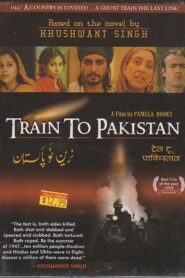 Train to Pakistan 1997 one on netflix
