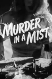 Murder in a Mist 1980 one on netflix
