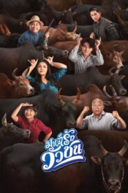 Love Battle vs Bullfighting 2022 one on netflix