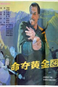 命夺黄金图 1990 one on netflix