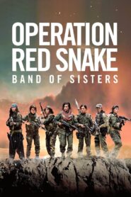 Sisters in Arms 2019 one on netflix