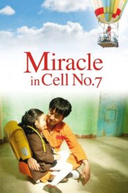 Miracle in Cell No. 7 2013 one on netflix