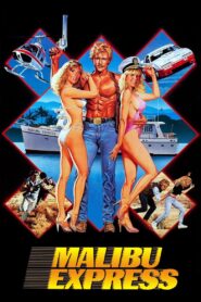 Malibu Express 1985 one on netflix