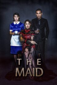 The Maid 2020 one on netflix