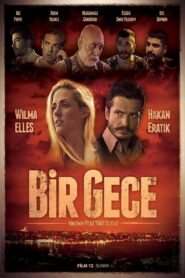Bir Gece 2015 one on netflix