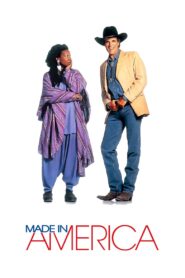 Made in America 1993 one on netflix