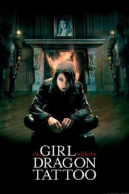 The Girl with the Dragon Tattoo 2009 one on netflix