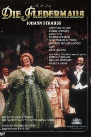 Die Fledermaus 1990 one on netflix